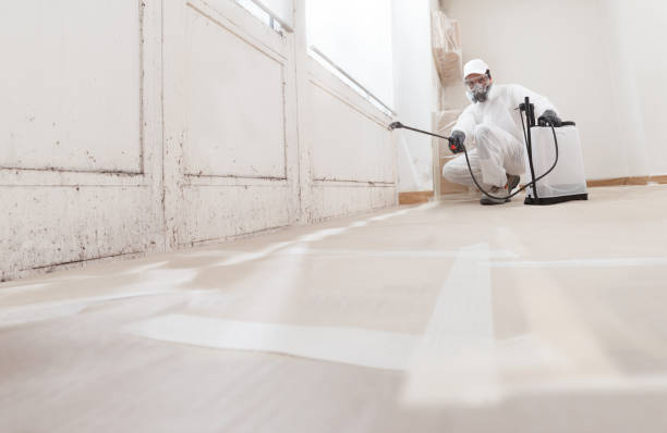 24/7 Emergency Mold Remediation experts in Hampton, TN